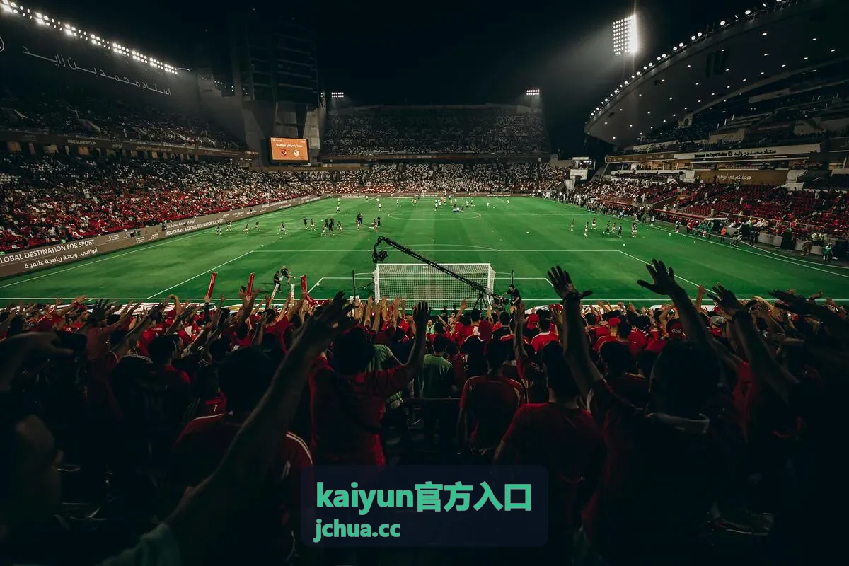 kaiyun官方入口苹果设备安装与信任设置示意