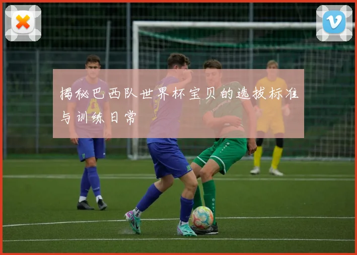 揭秘巴西队世界杯宝贝的选拔标准与训练日常