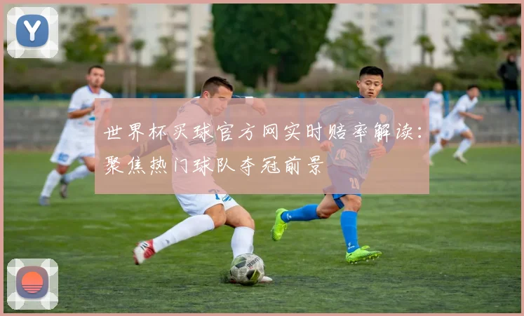 世界杯买球官方网实时赔率解读：聚焦热门球队夺冠前景