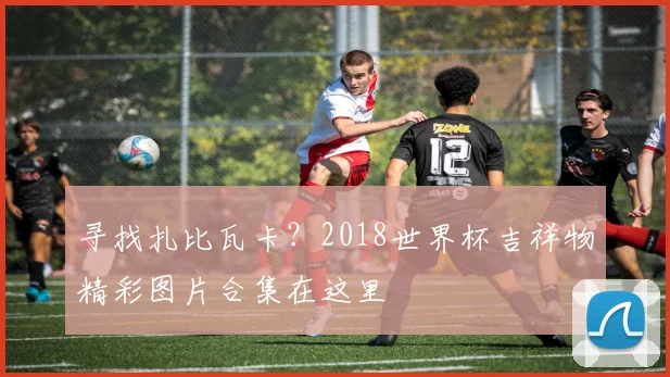 寻找扎比瓦卡？2018世界杯吉祥物精彩图片合集在这里