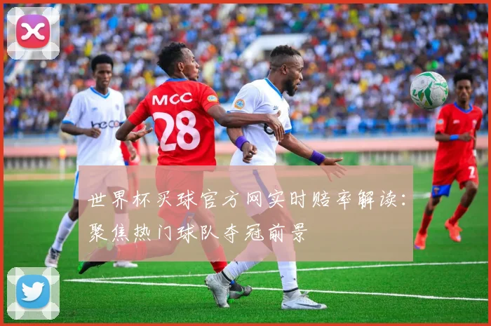 世界杯买球官方网实时赔率解读：聚焦热门球队夺冠前景