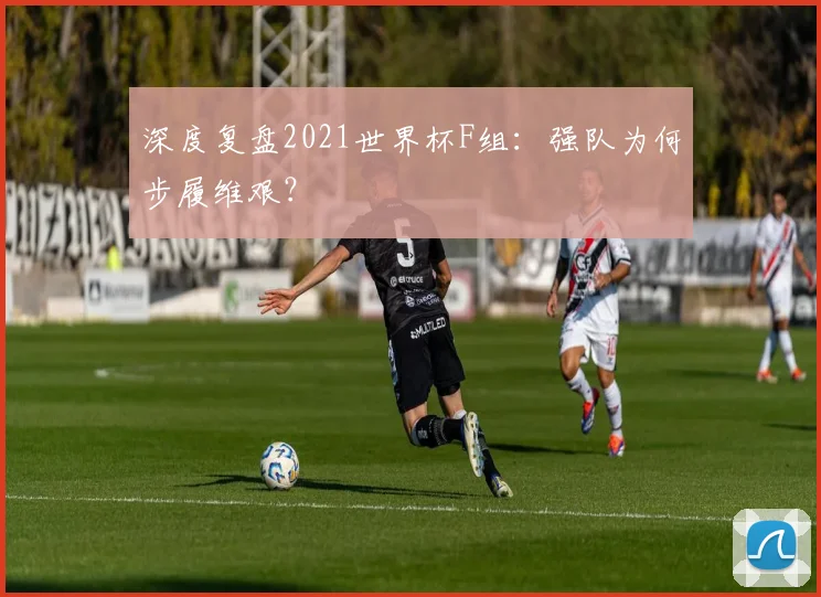 深度复盘2021世界杯F组：强队为何步履维艰？